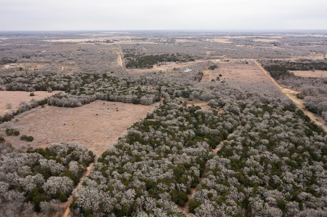 17ACRES- 000 Grassyville Rd, Paige TX, 78659 land for sale