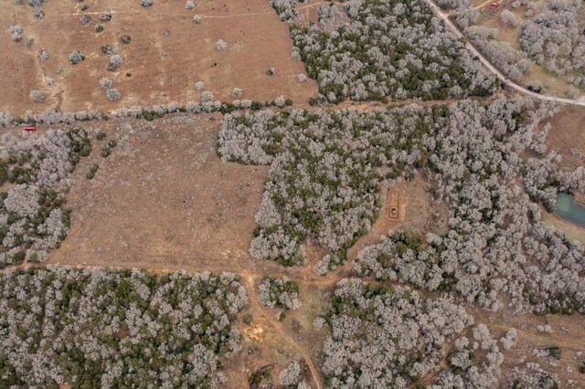 17ACRES- 000 Grassyville Rd, Paige, TX 78659 - photo 23