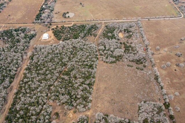 17ACRES- 000 Grassyville Rd, Paige, TX 78659 - photo 24
