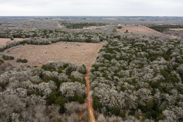 17ACRES- 000 Grassyville Rd, Paige, TX 78659 - photo 15