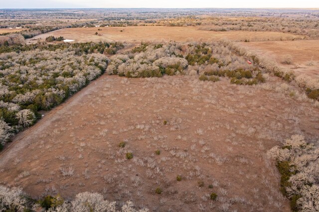 17ACRES- 000 Grassyville Rd, Paige, TX 78659 - photo 18