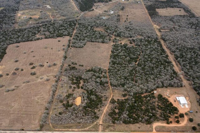17ACRES- 000 Grassyville Rd, Paige, TX 78659 - photo 26