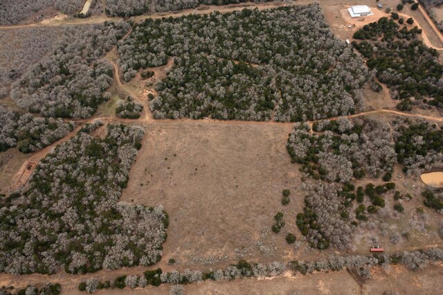 17ACRES- 000 Grassyville Rd, Paige, TX 78659 - photo 14