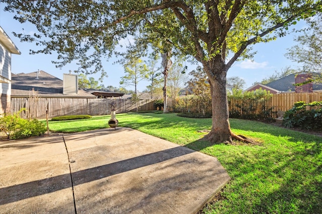 view of yard featuring a patio