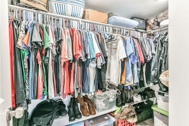 view of spacious closet