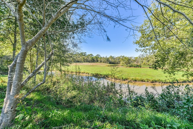 view of nature featuring a water view