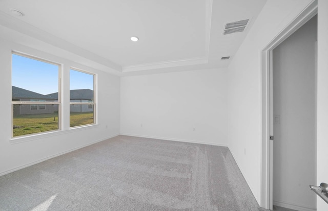 carpeted spare room with a tray ceiling