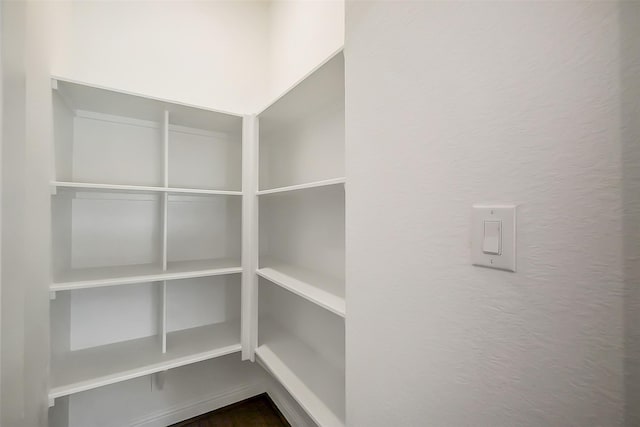 9923 Hunters Run Dr, Missouri City, TX 77459 - view of pantry
