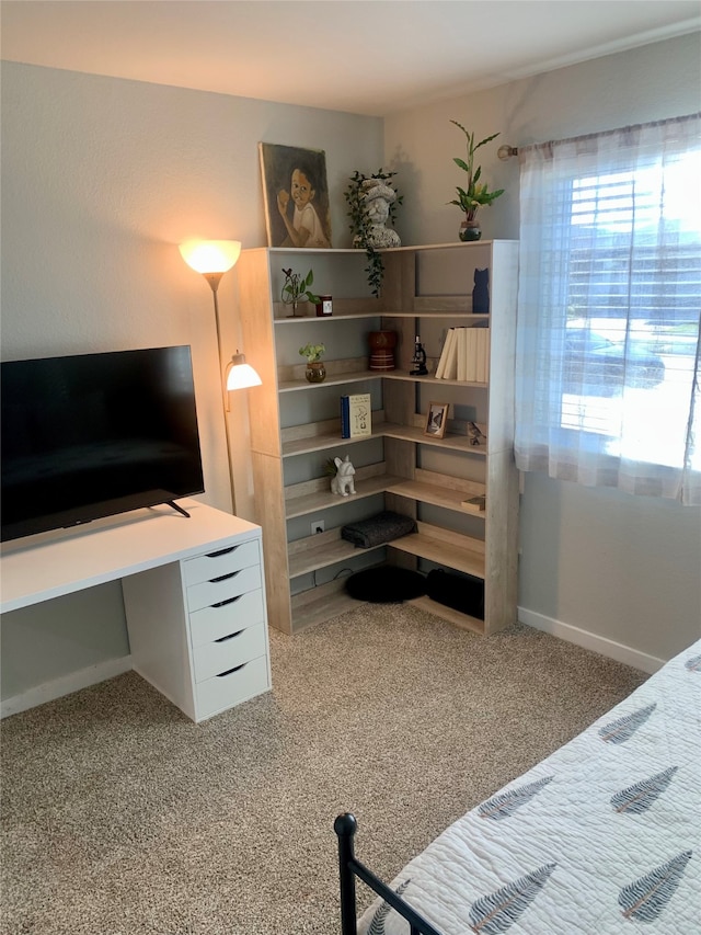 bedroom with carpet