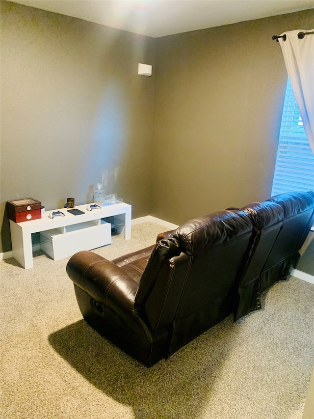 view of carpeted home theater