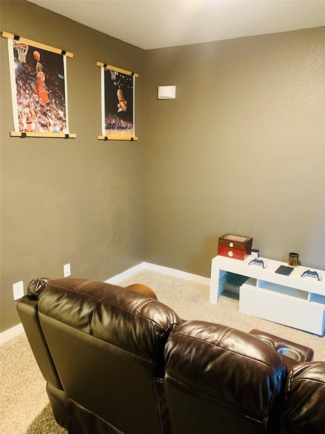 view of carpeted home theater room