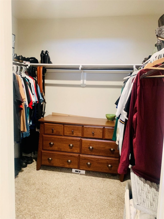 spacious closet with light carpet