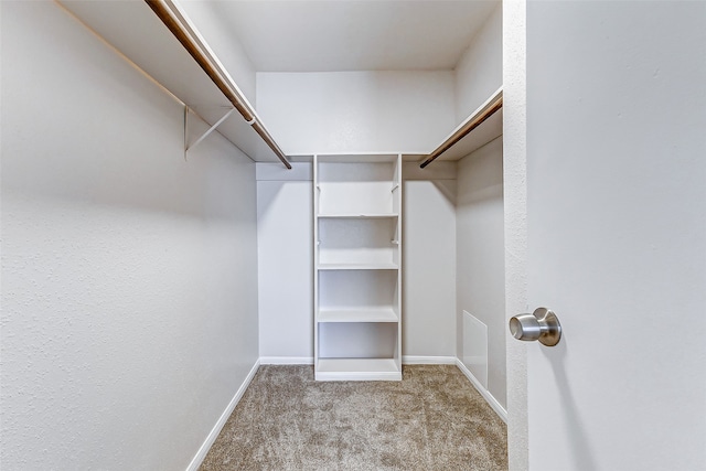 walk in closet with light carpet