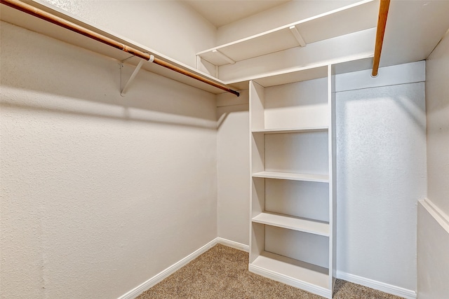 walk in closet with carpet floors