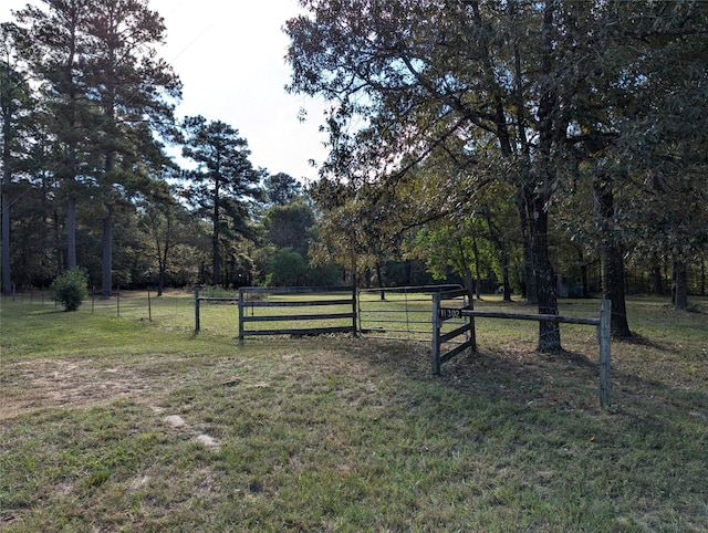 11302 County Road 351, Plantersville TX, 77363 land for sale