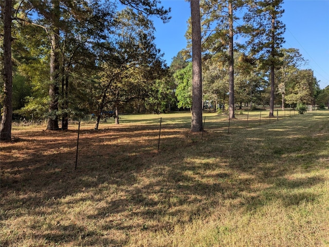 Listing photo 3 for 11302 County Road 351, Plantersville TX 77363