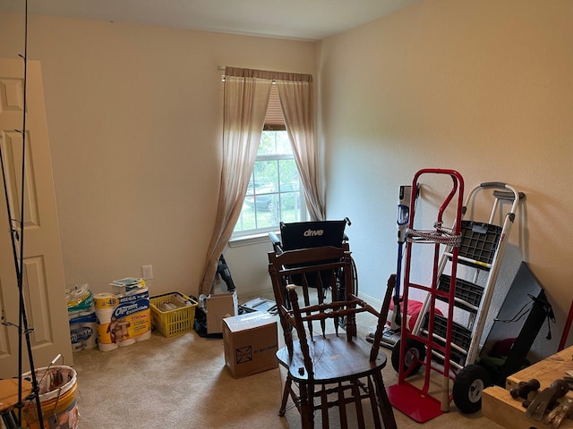 315 20th St, San Leon, TX 77539 - view of carpeted home office