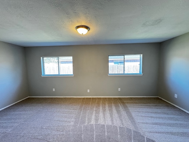 spare room with carpet, a textured ceiling, and a wealth of natural light