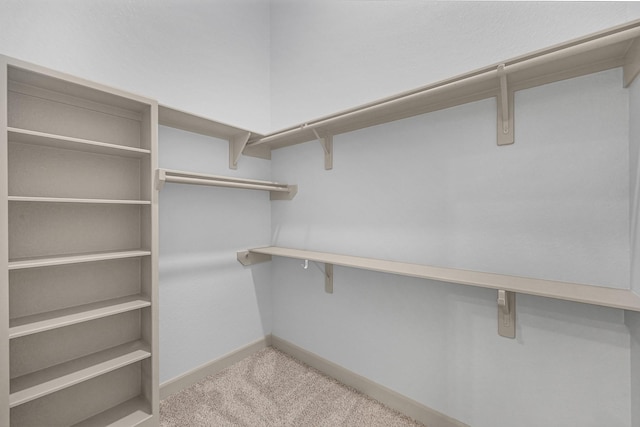 spacious closet with light carpet