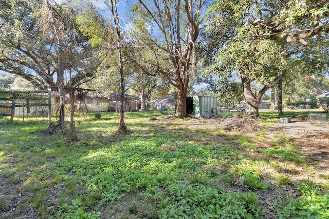 view of yard with a storage shed