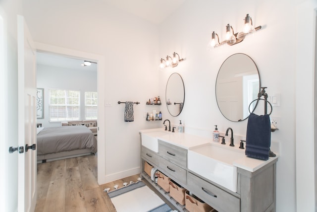 bathroom with hardwood / wood-style flooring and vanity