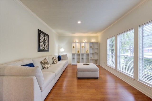 living room with wood-type flooring and ornamental molding