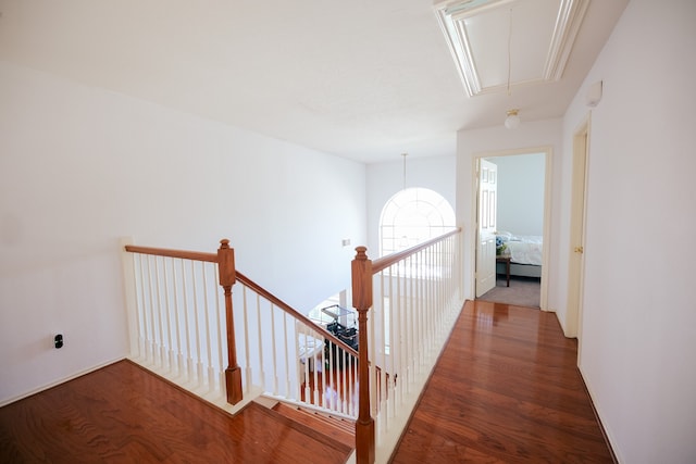 hall featuring dark wood-type flooring