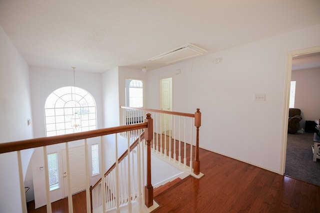 hallway with dark hardwood / wood-style flooring