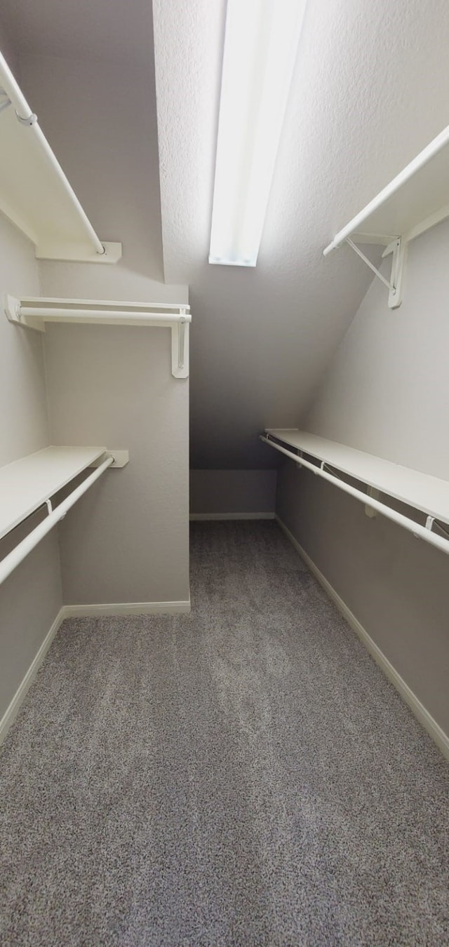 walk in closet featuring carpet floors and vaulted ceiling