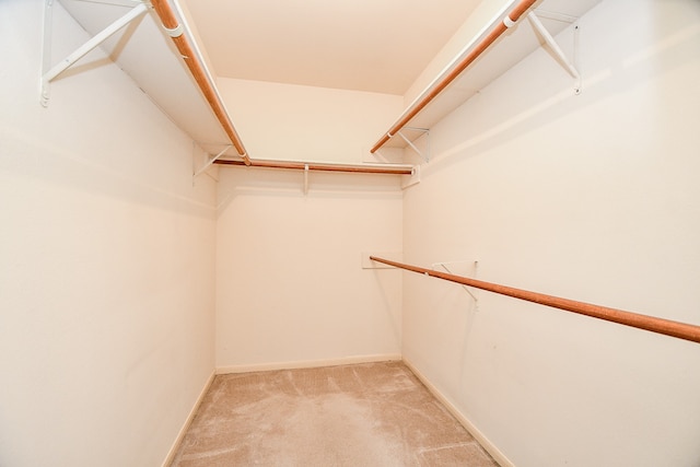 walk in closet featuring light colored carpet