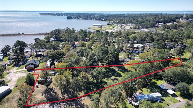 121 Prescott Dr, Onalaska, TX 77360