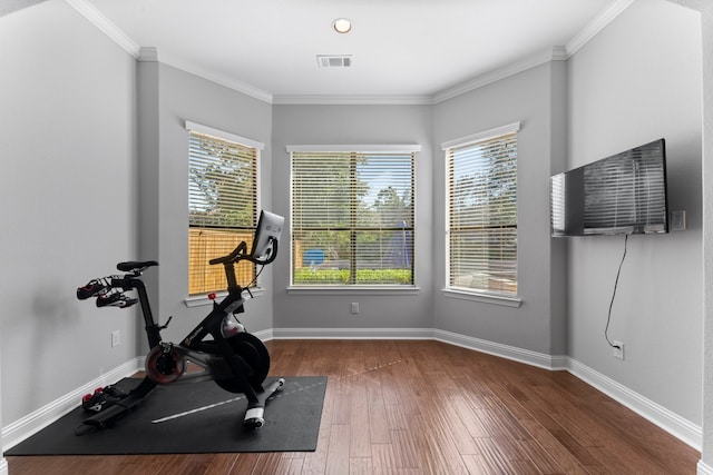 exercise room featuring dark hardwood / wood-style flooring and crown molding