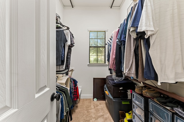 spacious closet featuring light colored carpet