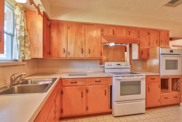 kitchen featuring white appliances, sink, and a wealth of natural light