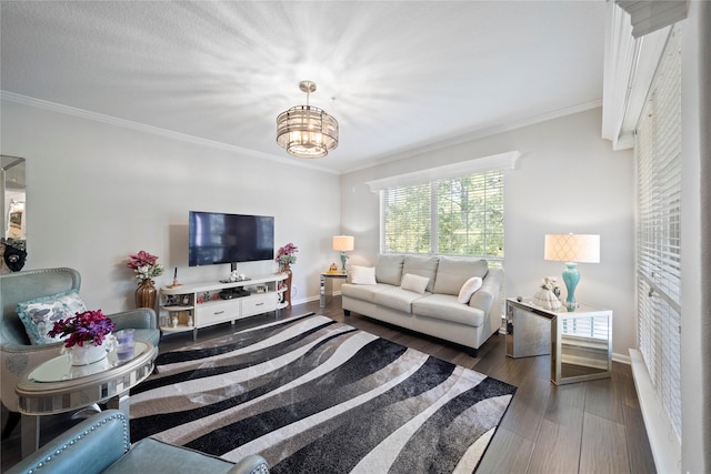 living room featuring a chandelier, dark hardwood / wood-style flooring, and ornamental molding