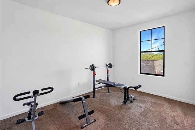 exercise area with carpet flooring