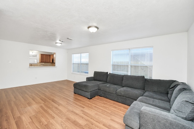 living room with a textured ceiling and light wood-type flooring