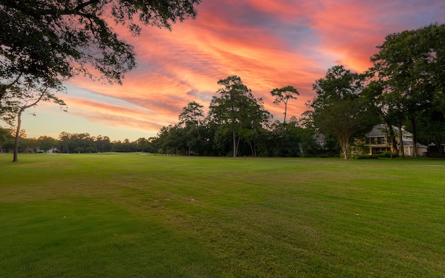 view of yard at dusk