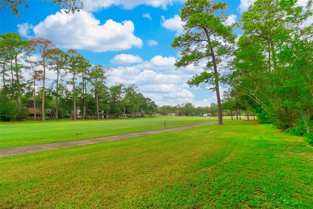 view of home's community featuring a lawn