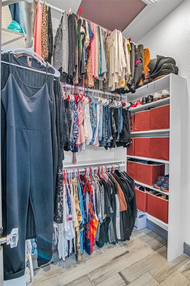 spacious closet featuring hardwood / wood-style flooring