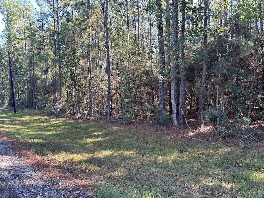 TBD Fm-942 E, Livingston, TX 77351