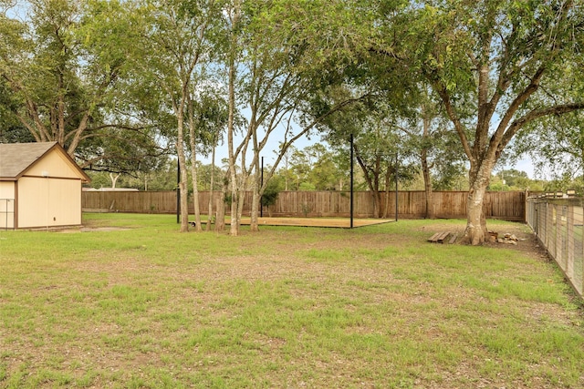 view of yard with a shed