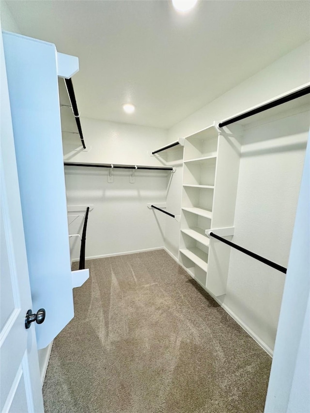 spacious closet with carpet flooring