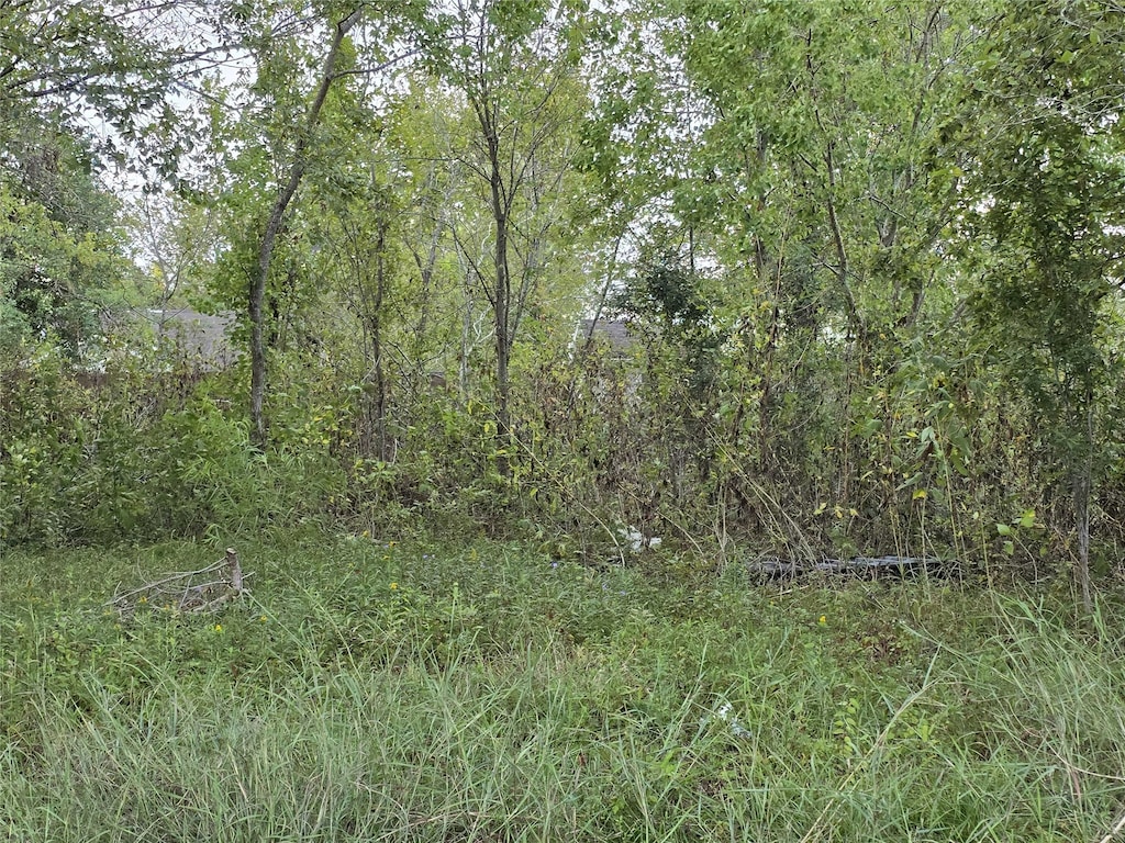 3215 Newhoff St, Houston, TX 77026 - photo 1