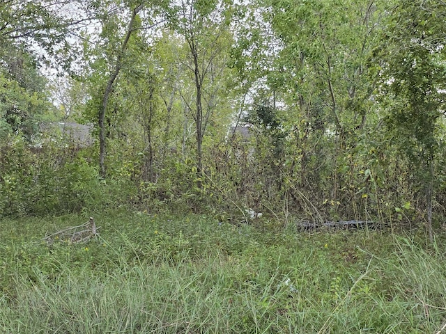 3215 Newhoff St, Houston, TX 77026 - photo 1