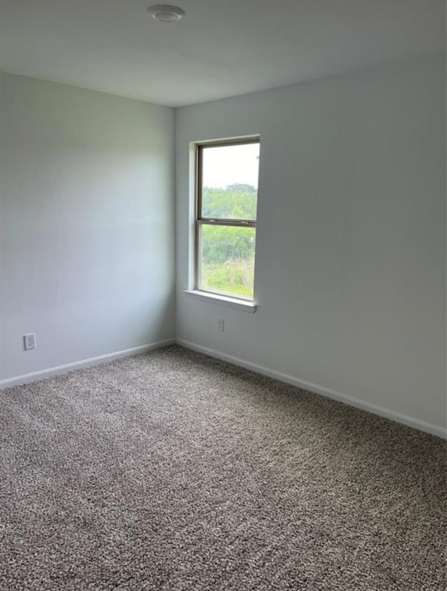 empty room with carpet