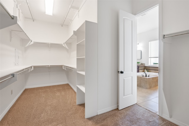 walk in closet featuring light colored carpet