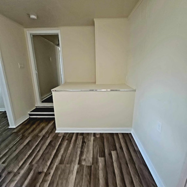 interior space with dark hardwood / wood-style flooring