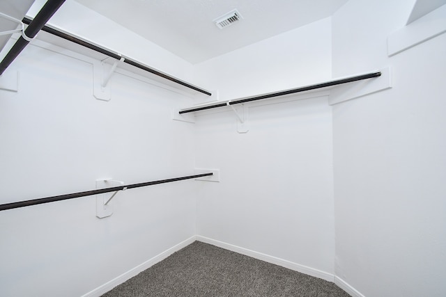 spacious closet with carpet floors