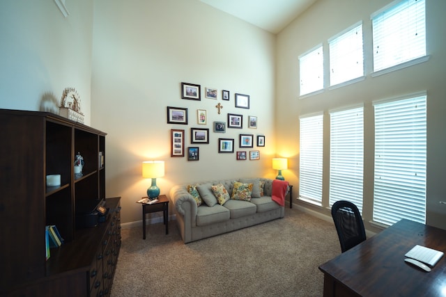 carpeted office with a towering ceiling